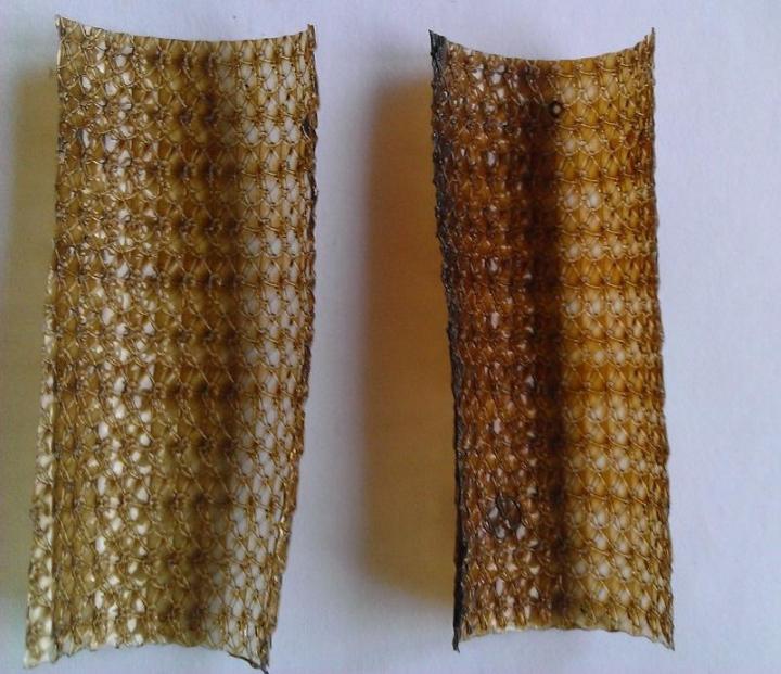 Coated Polypropylene Samples