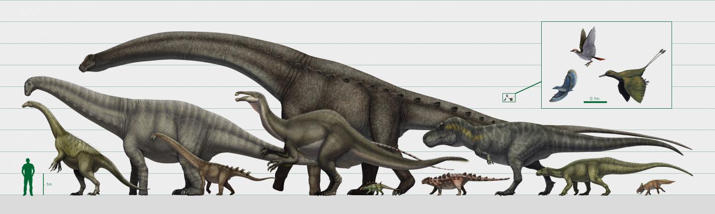 Dinosaur size range