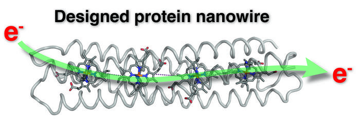 Pioneering study signals new era of environment-friendly programmable bioelectronics