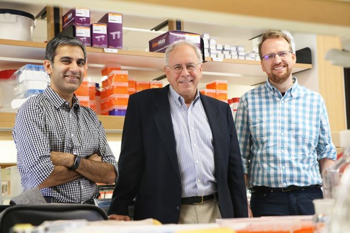 Three of the Contributors of This Work