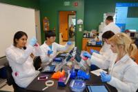 Students in the Learning Lab