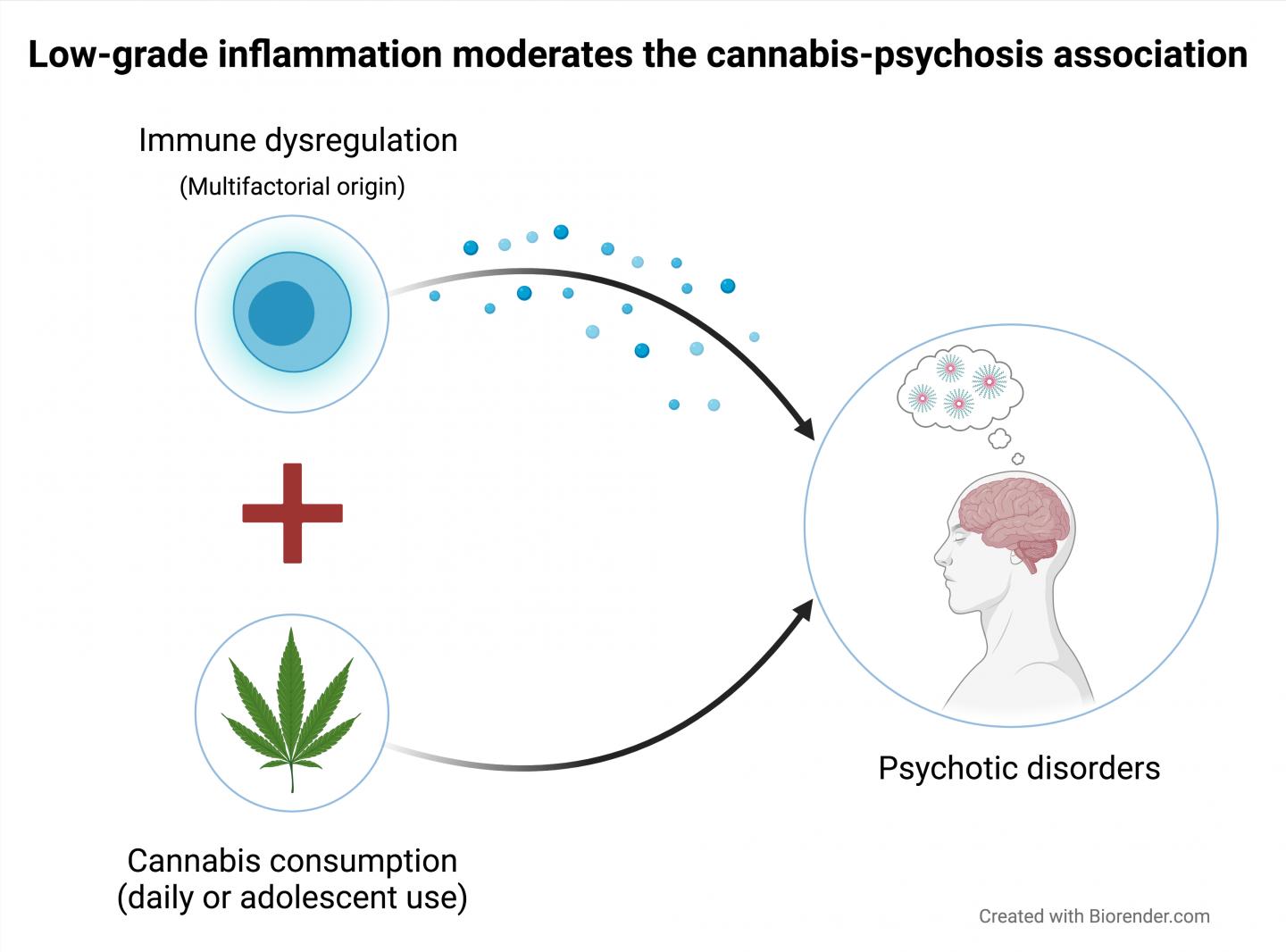 Immune Dysregulation and Cannabis