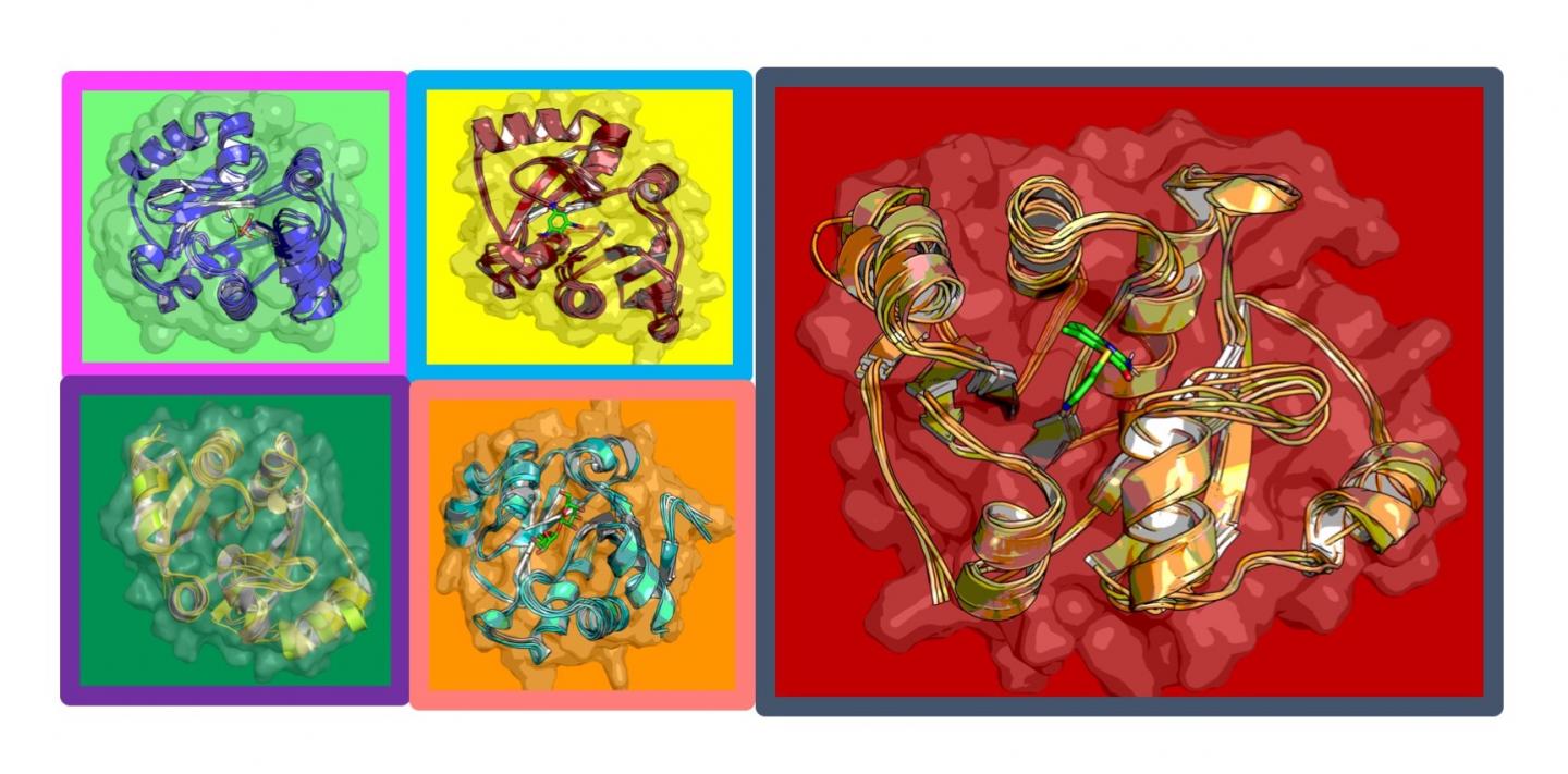 AI-Driven Simulations Provide Insights into How Ligands Module COVID-19 Proteins