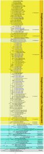 Phylogenetic tree derived from maximum likelihood analysis of the combined ITS and LSU rDNA sequences of Geoglossomycetes