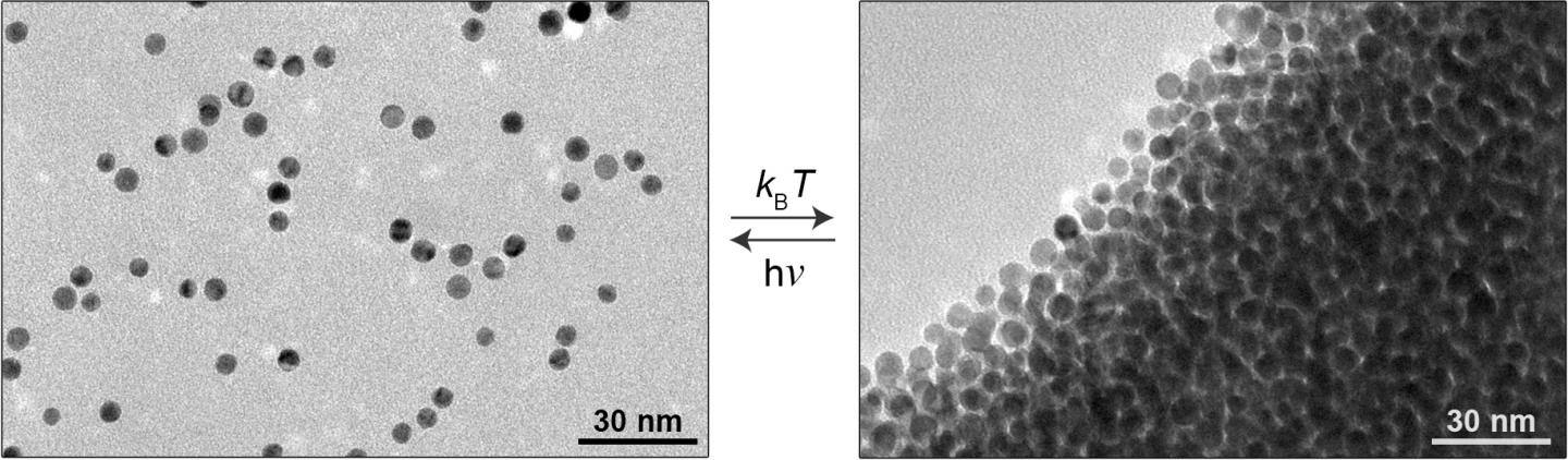 Nanoparticles in a Light-Sensitive Medium Scatter