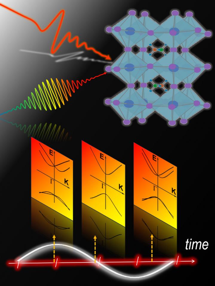 The Rashba Effect in Organometallic Halide Perovskites