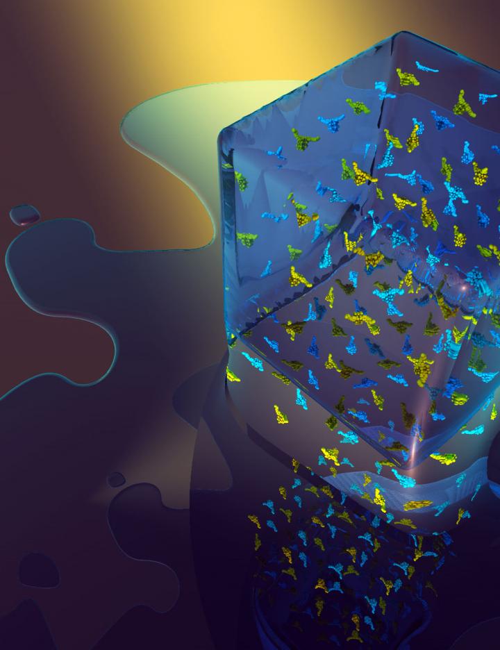 Photochromic Molecule