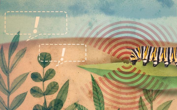 Plants Are Calling 9-11