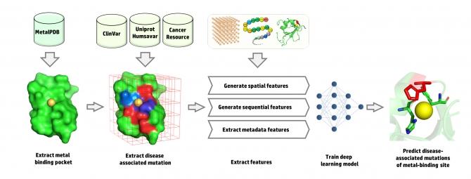 Workflow of Data Collection