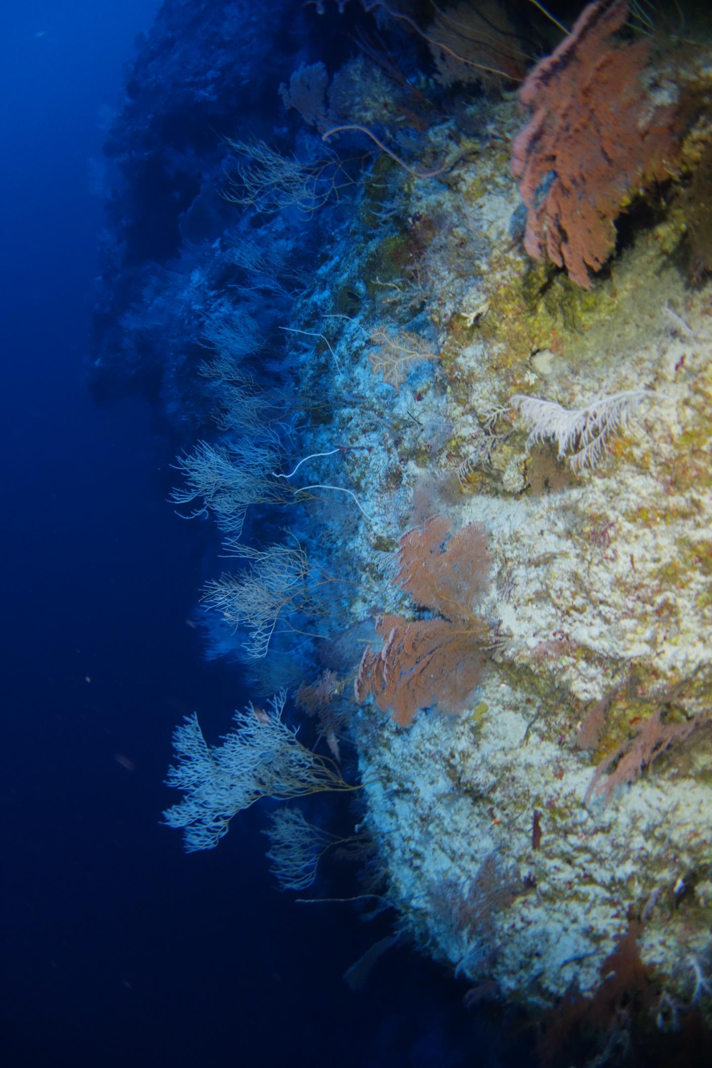 Pohnpei, Federated States of Micronesia at 130m