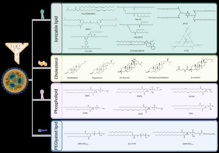 Fig. 2 Examples of ionizable lipids, sterols, phospholipids, and PEG-lipids used in LNP formulations. Created with BioRender.com.