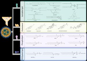 Fig. 2 Examples of ionizable lipids, sterols, phospholipids, and PEG-lipids used in LNP formulations. Created with BioRender.com.