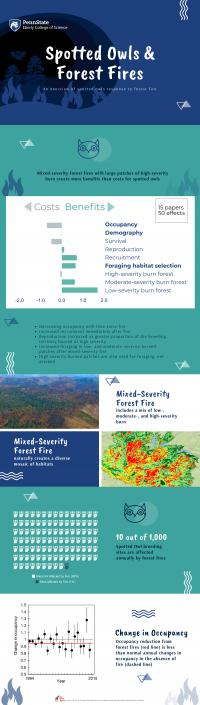 Spotted Owl Infographic