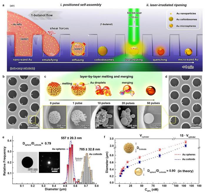 Researchers Realize Rapid Synthesis of Gold Microsphere Array for Advanced Packaging