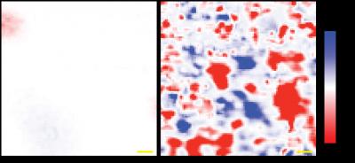 Graphene on Boron Nitride Reduces Electric Charge Fluctuations