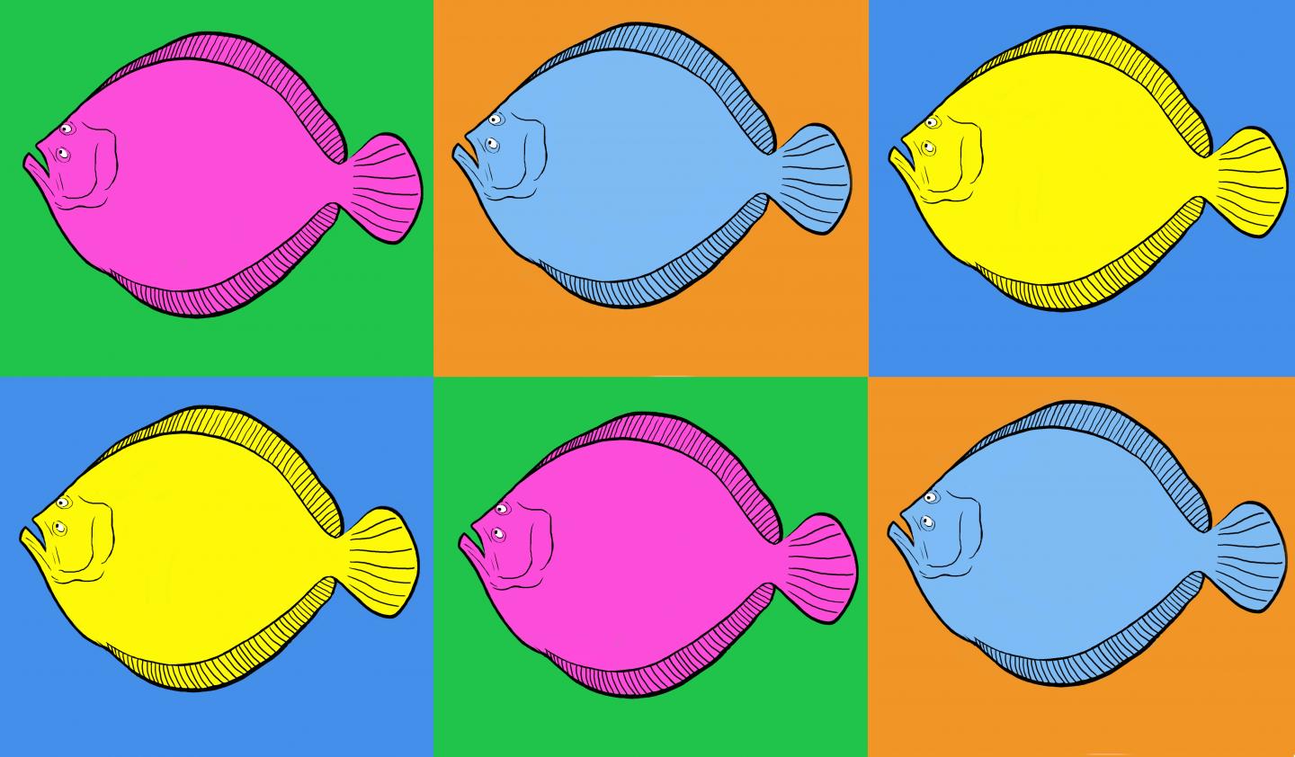 The Flat-Bodied Turbot