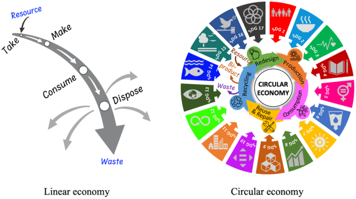 A comparison between the concepts of linear and circular economy models.
