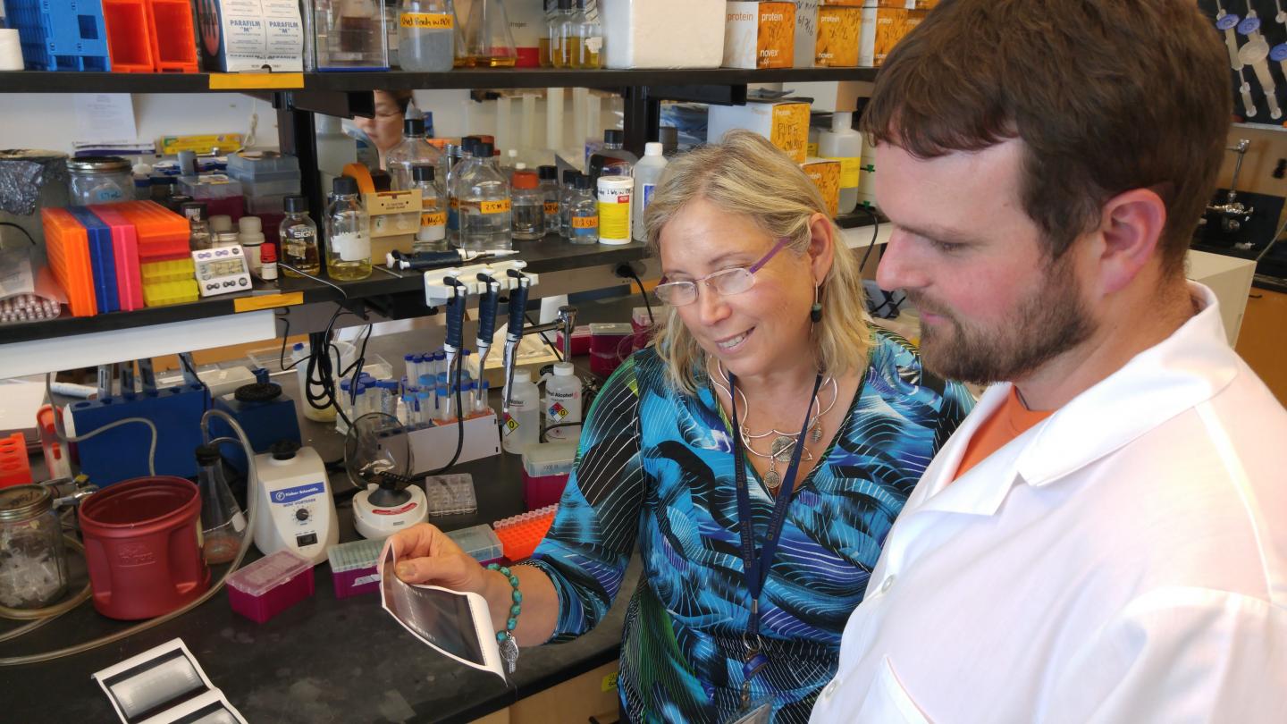 Sofia Merajver-Yates and Joel Yates, University of Michigan Health System