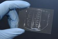 Microfluidic Guillotine