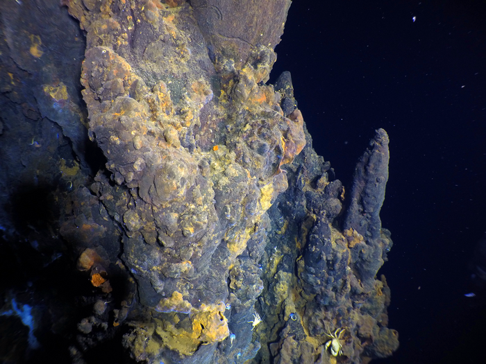 Yellow iron staining on a sulfide structure at YBW-Sentry
