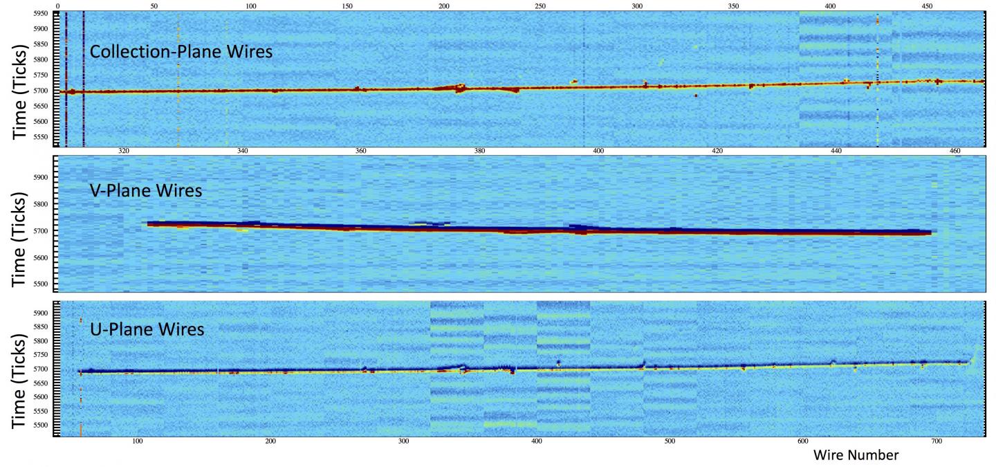 Tracks Recorded by the ProtoDUNE Detector