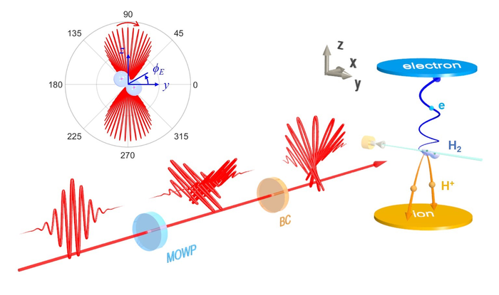 Ultrafast stopwatch-based kinetic measurement scheme for molecular dissociation