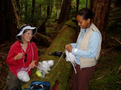 Low-Cost Temperature Sensors, Tennis Balls to Monitor Mountain Snowpack (1 of 3)