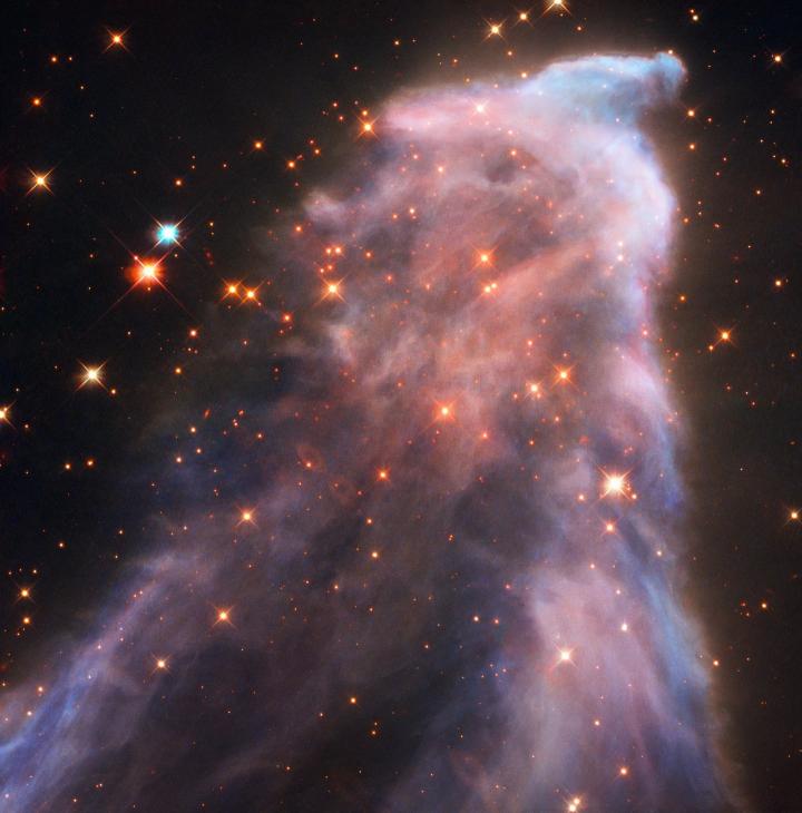 The Ghost Nebula