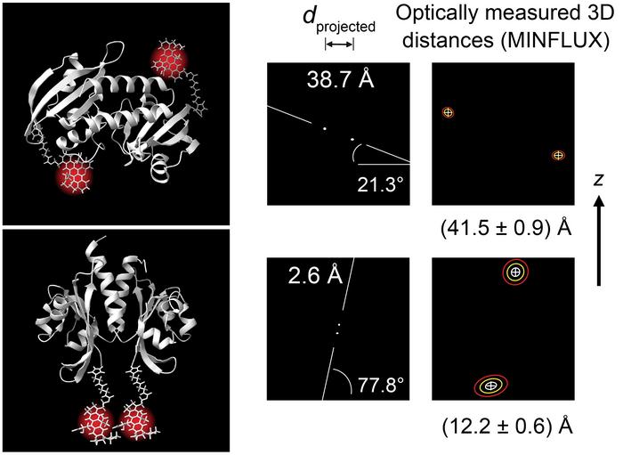 Optically measured 3D distances