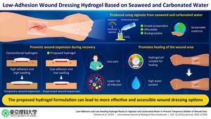 A superior hydrogel formulation for treating skin wounds