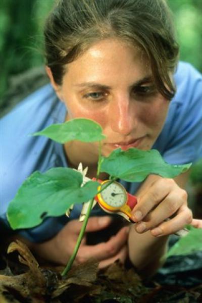 Liza Comita, Smithsonian Tropical Research Institute