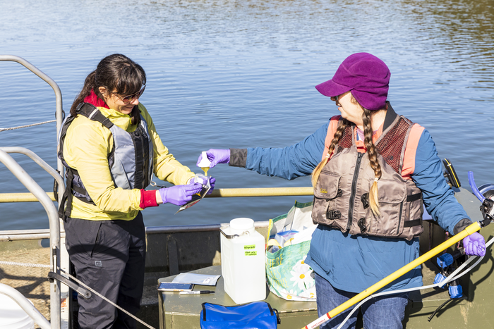 Hydropower — DNA in a drop