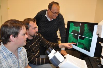 UC Riverside Entomologists (1 of 2)