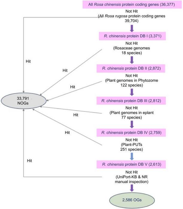 Fig.1