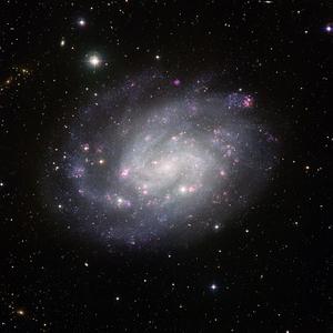 Galaxy NGC 300