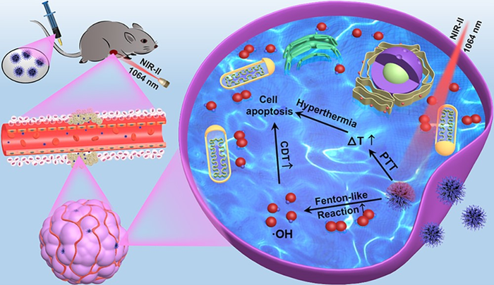 NIR-II-Responsive Nickel-Based Therapeutics Provide New Solution for Synergistic Oncotherapy