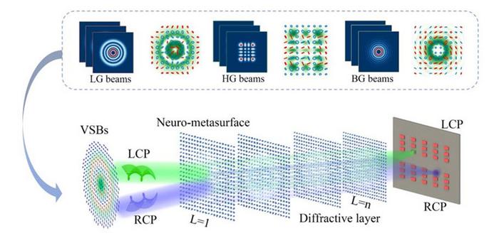 Multilayer spin-multiplexed metasurfaces act as neurons in a multiplexed diffractive neural network (MDNN) for detecting and sorting vector structured beams.