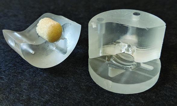 Tissue Grafts of Both Bone and Cartilage Could Regenerate Damage to a Crucial Jaw Joint (2 of 9)