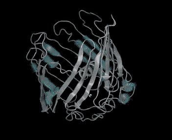 Jumping Genes Cause this Mitochondrial Channel Protein to Fold into the Wrong Shape