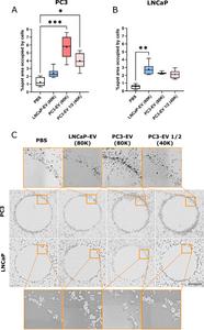 High pro-metastatic PC3 and low pro-metastatic LNCaP cell lines recruitment by their own EVs embedded in agarose spots