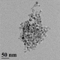 Silicon Nanoparticles (Large Group)