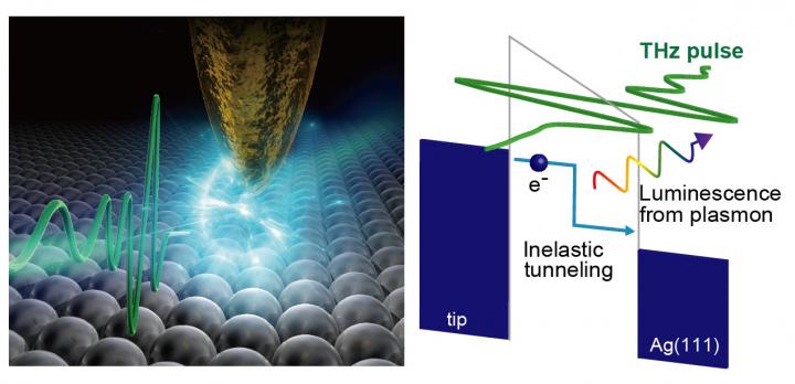 THz-Field-Driven Scanning Tunneling Luminescence Spectroscopy