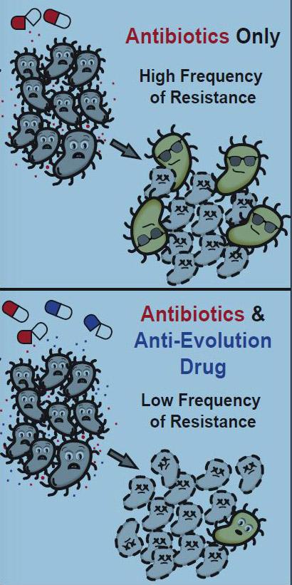 Anti-Evolution Drug Treatment Strategy