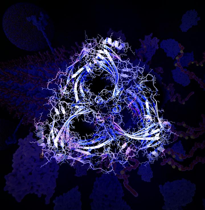 Oligomerized Beta-arrestin-2 within a Brain Cell