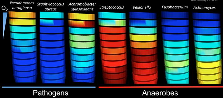 WinCF Graphic, UC San Diego Health