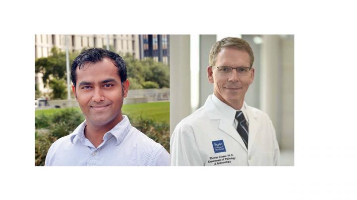 The First and the Corresponding Author of This Work