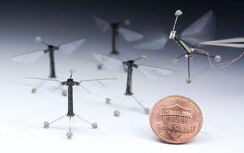Photograph of RoboBees with a Penny for Comparison