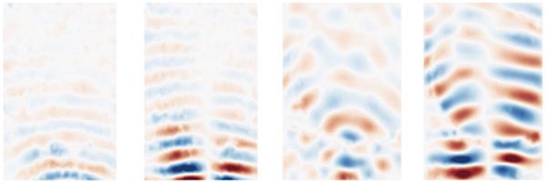 Not Just for Bones! X-rays Can Now Tell Us about Soft Tissues too