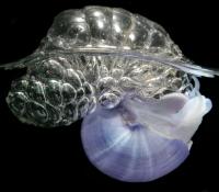 Bubble-rafting Violet Snail