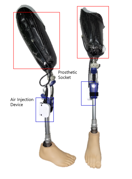 AIbased prosthetic socket developed to help EurekAlert!